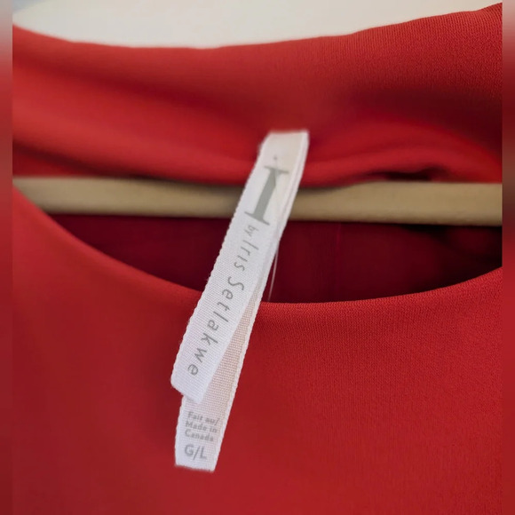 Iris Setlakwe Shift Dress – Vibrant Coral Orange – Size L (fits M/L) - Picture 4 of 10